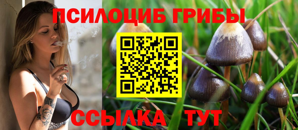 Галлюциногенные грибы Cubensis  Сосновый Бор 