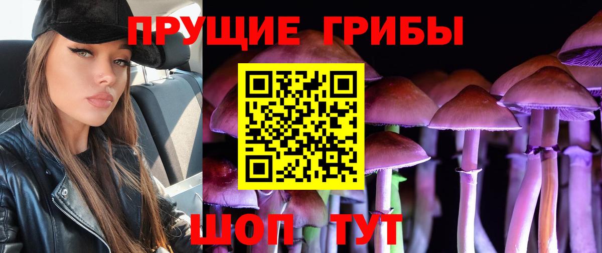 Псилоцибиновые грибы MAGIC MUSHROOMS Сосновый Бор