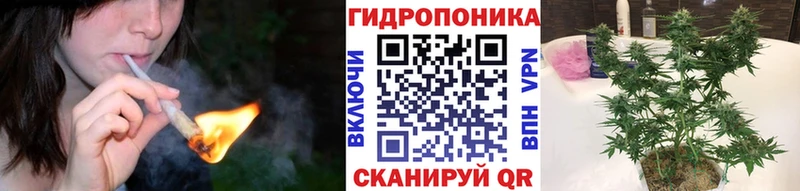 Бошки марихуана THC 21%  Сосновый Бор 